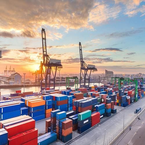 Zanzibar Export 2025